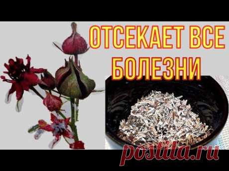 Раньше с суставами мучался, а теперь мешки с картошкой тягаю/ Отсекает все болячки!