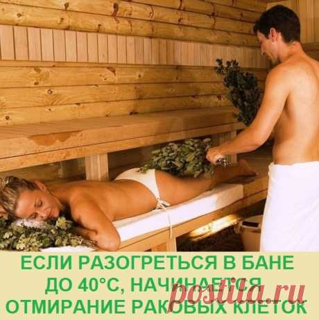 ЕСЛИ РАЗОГРЕТЬСЯ В БАНЕ ДО 40°С, НАЧИНАЕТСЯ ОТМИРАНИЕ РАКОВЫХ КЛЕТОК