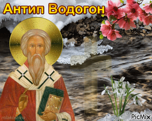 Пусть святой Антип, покровитель этого дня, очистит вашу жизнь от болезней и невзгод, как вешние воды смывают зимнюю грязь. Открытки на Антип Водогон!