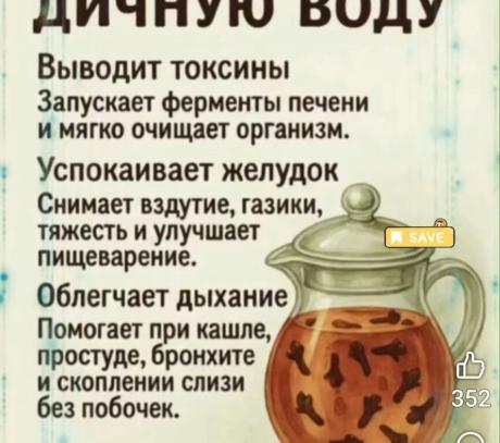 Почему стоит пить гвоздичную воду: забытый эликсир для современного здоровья — Женский- журнал D-lady.ru