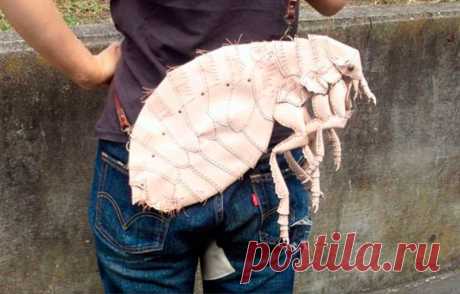 Японский дизайнер создаёт дамские сумочки в виде насекомых