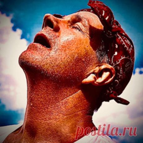 Climate Zombies - Summer Rain (Single) (2026) 320kbps / FLAC