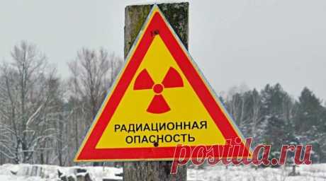 В РФ предложили бороться с радиацией борщевиком Сосновского | Журнал "JK" Джей Кей