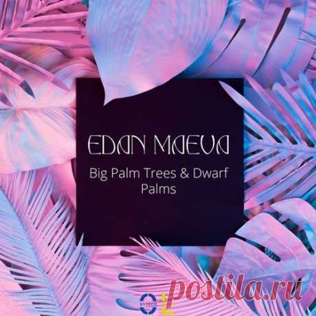 Edan maeva - Big Palm Trees & Dwarf Palms