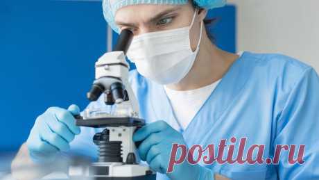 Открытие может стать шагом к созданию «лекарств из микробиома».