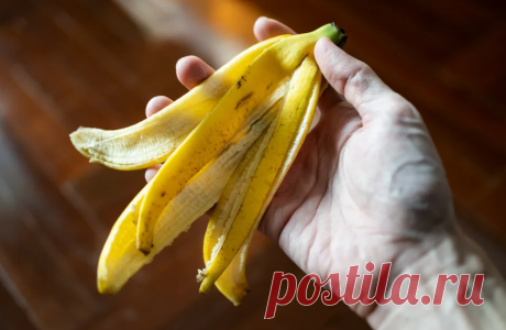 Домашние эксперименты: можно ли избавиться от трещин на пятках народными средствами? Мягкие и ухоженные пятки — важная часть женского образа, особенно в тёплое время года, когда обувь открыта. В интернете можно найти массу домашних рецептов, которые обещают быстрый эффект:...