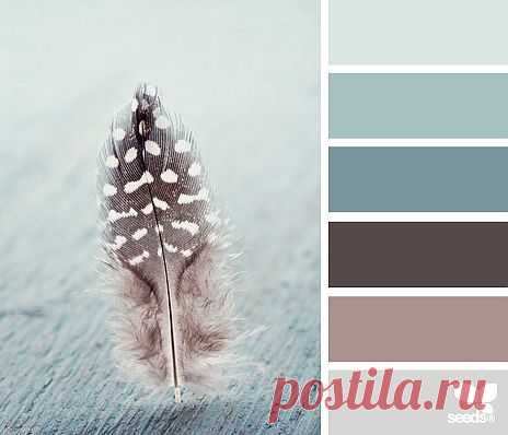 Design Seeds® | find your palette