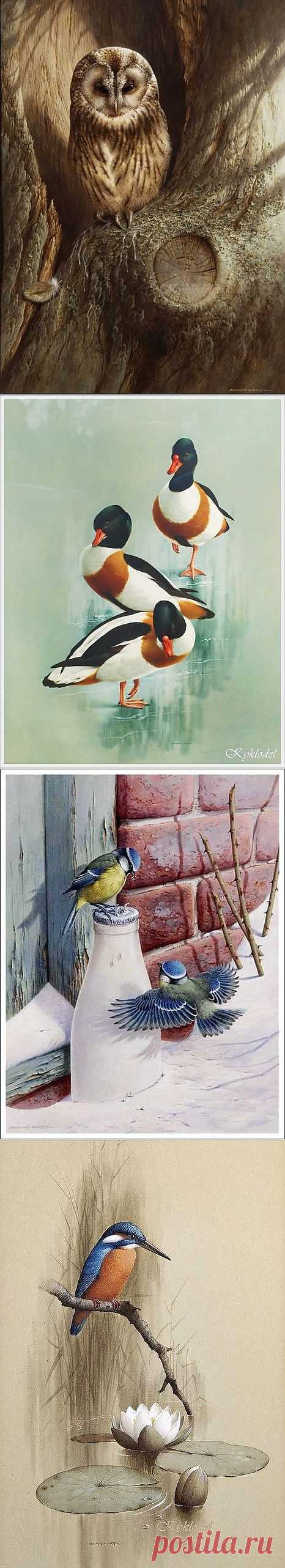 Птицы акварелью Raymond Cyril Watson - Ярмарка Мастеров - ручная работа, handmade