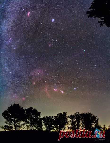 В зимнем небе комета Лавджоя / Интересный космос