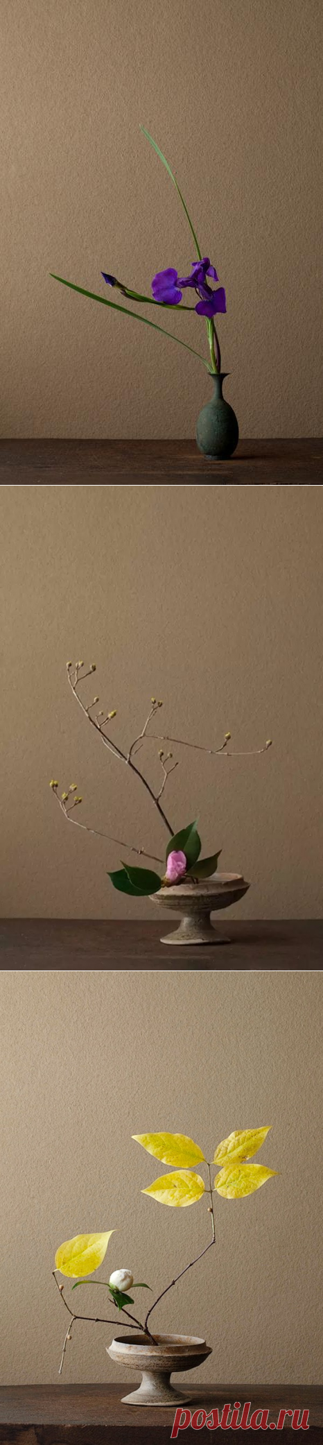 Икебана - цветы которые живут