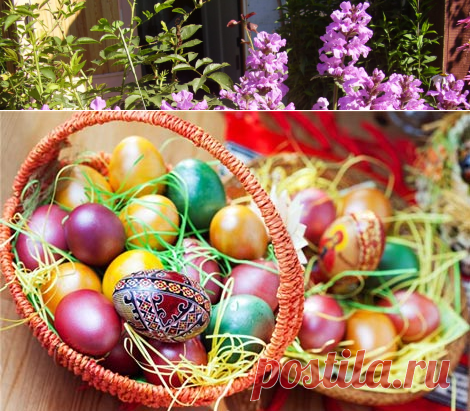 Красим яйца к Пасхе своими руками | sadok33.ru
