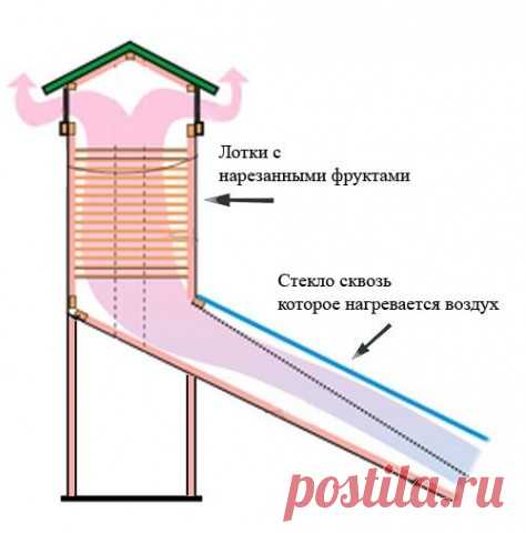 Солнечный дегидратор: сушилка для плодов на солнечной энергии — Полезные советы