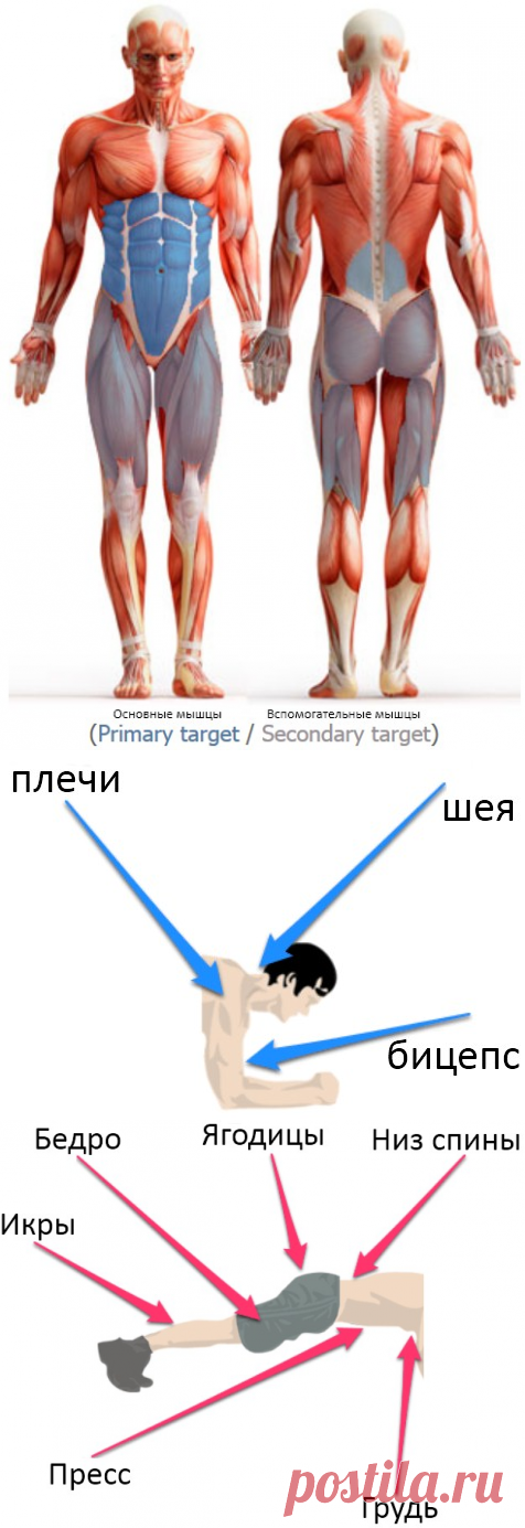 Упражнение планка, или как сделать стальной пресс