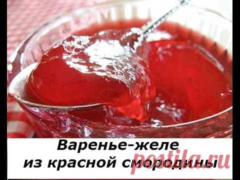 Варенье-желе из красной смородины (+ВИДЕО) - Затейка.com.ua - рецепты вкусных десертов, уроки вязания схемы, народное прикладное творчество