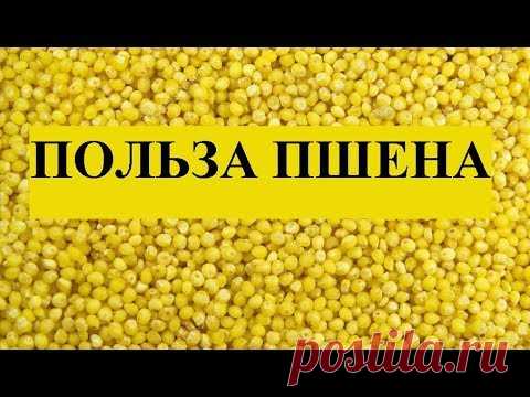 Пшено Вред или Польза. Св-ва Просо.