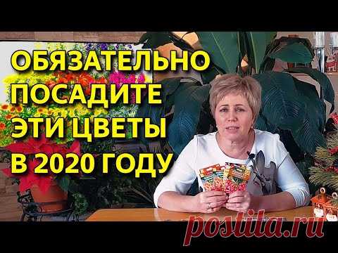 Самые неприхотливые цветы для вашего сада! Ленивая клумба. Как легко посадить многолетники.