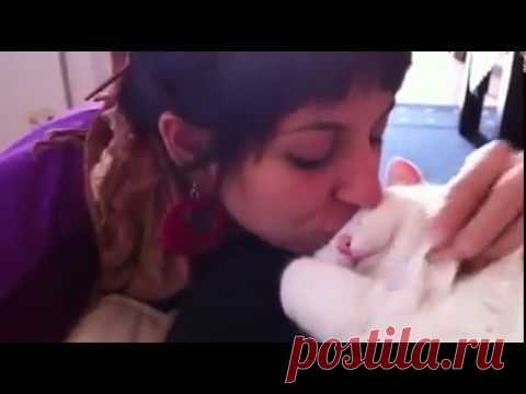 Девушка поцеловала своего кота! То, как он на это отреагировал — бесценно! 
 

Это красивый котик очень любит, когда хозяйка его целует. Только посмотрите, как он реагирует на это:
https://www.youtube.com/watch?v=C3a6iES_T-8