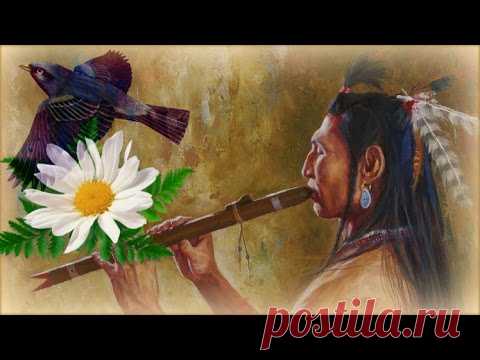 Видео, клипы, видеоклипы, ролики «Индейская Этническая Музыка Души» (775 видео-роликов)