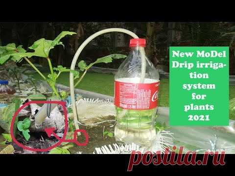 Make Easy Plastic bottle DIY drip irrigation system for plants 2021