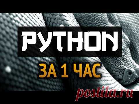 Учим Python за 1 час! #От Профессионала - YouTube