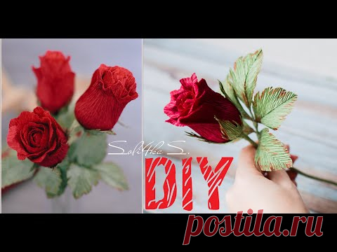 DIY soli4ka_s Голландська троянда з гофропаперу ЗМОЖЕ КОЖЕН/ голландская роза/ dutch rose