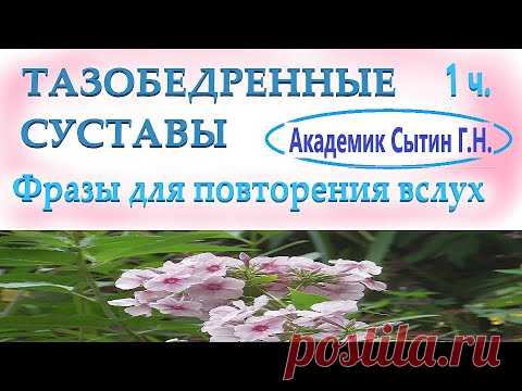 ТАЗОБЕДРЕННЫЕ СУСТАВЫ (С ПАУЗАМИ ДЛЯ ПОВТОРЕНИЯ ВСЛУХ) - YouTube