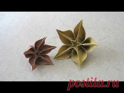 Carambola Flowers by Carmen Sprung | Go Origami!