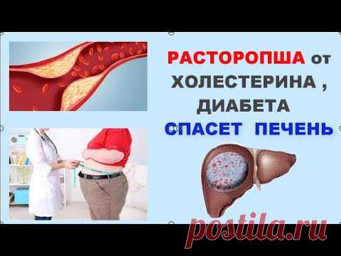 РАСТОРОПША от ДИАБЕТА , ГЕПАТИТА , против ХОЛЕСТЕРИНА