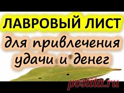 Лавровый лист для привлечения удачи и денег | Эзотерика для Тебя Советы Ритуалы Обряды Обереги