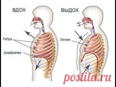 Упражнения для диафрагмы Часть2