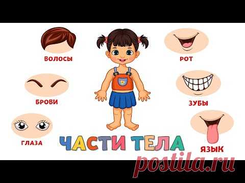 Учим части тела для детей Развивающие мультики для малышей