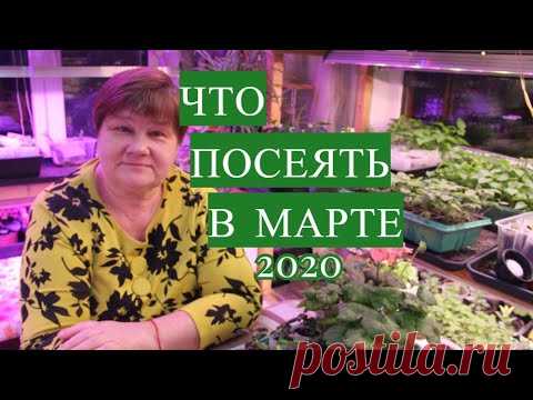 НЕ УПУСТИТЕ ВРЕМЯ! ЧТО ПОСЕЯТЬ В МАРТЕ. 2020