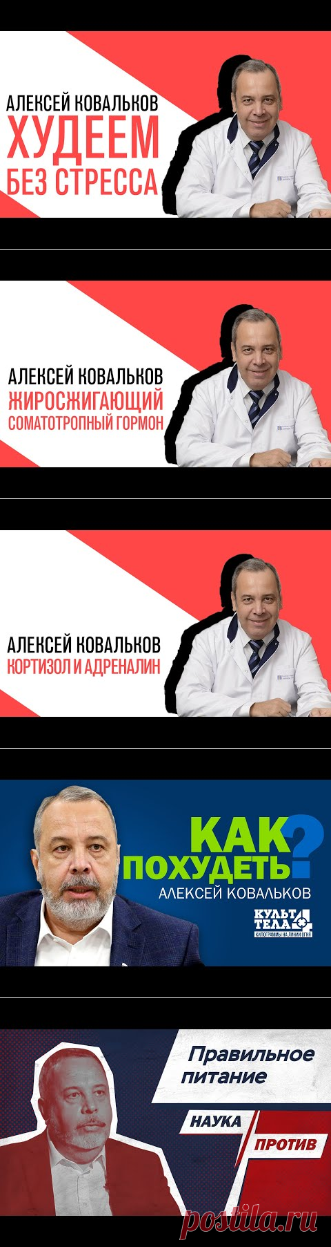 Проект Алексея Ковалькова «Есть или не есть», Михаил Хорс, Как похудеть без стресса - YouTube
