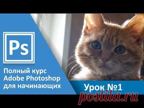 Урок 1 -  Введение. Полный курс Adobe Photoshop с нуля | Graphic Hack