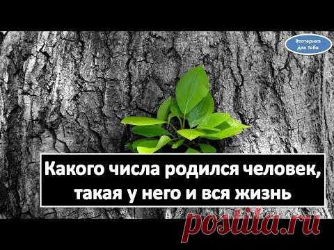 Какого числа родился человек такая у него вся жизнь / Эзотерика для Тебя Гороскопы. Ритуалы. Советы.