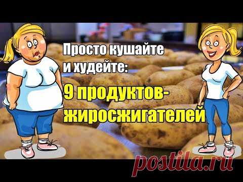 Как похудеть без голода: 9 простых продуктов для сжигания жира