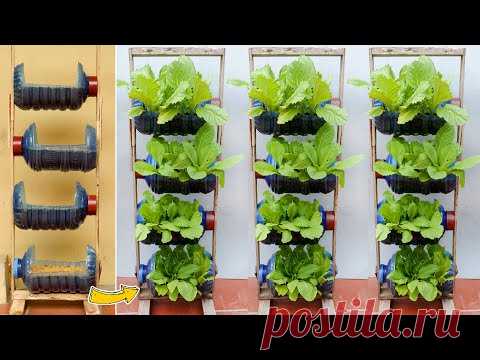 Amazing Vertical Garden from Plastic Bottles, Growing Vegetables at Home - YouTube