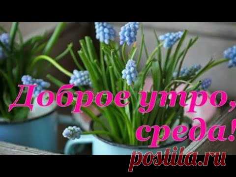 Доброе утро, среда! Крутое пожелание под приятную музыку. Красивая открытка с добрым утром - YouTube