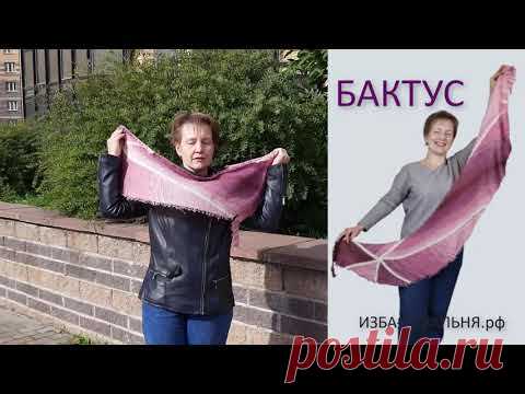 бактус ЗВЕЗДОЧКА