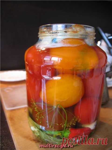 Малосольные помидоры быстрого приготовления – фото рецепт