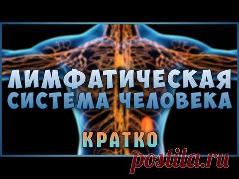 Застой и Очистка Лимфы! Знай и живи. Лимфатическая система! Лимфоузлы. Фролов Ю.А.