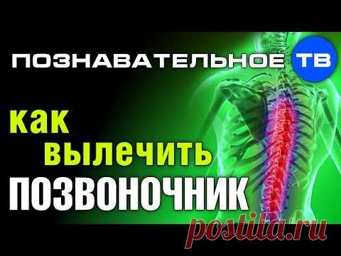 Как лечить болезни позвоночника и сделать так, чтобы он больше не болел | МастерВеда