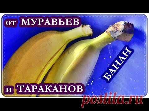 █ Как избавится от МУРАВЬЕВ и ТАРАКАНОВ / Банан, Желток и Борная кислота