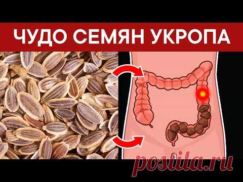 С помощью СЕМЯН УКРОПА избавилась от 20 недугов. Не ожидала такого!