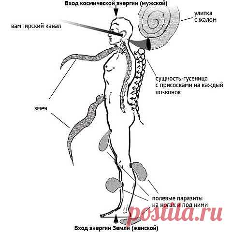 Энергетические паразиты. И как от них избавиться.

 Мало кто из людей осознает в полной мере тот факт, что каждую секунду вокруг него и рядом с ним находится множество разумных существ, о существовании которых он может и не догадываться. Однако это отнюдь не мешает этим существам оказывать свое прямое или косвенное влияние на жизнедеятельность человека. Некоторые из этих существ настроены к человеку благоприятно или как минимум нейтрально и могут помогать ему при должном о...