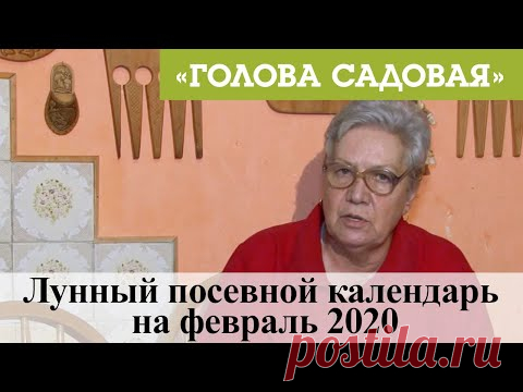 Голова садовая - Лунный посевной календарь на февраль 2020