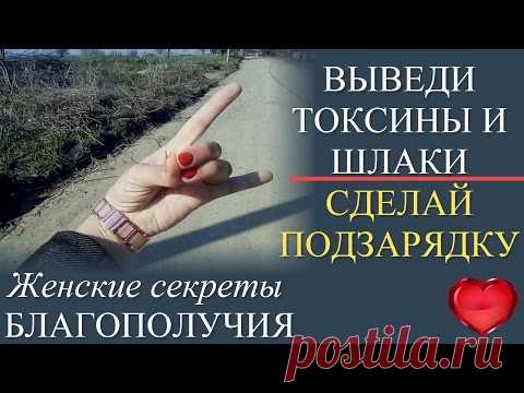 Женские секреты благополучия: Как вывести из организма шлаки и токсины и наполниться чистой энергией? ...