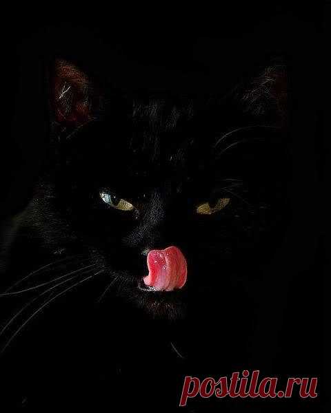 Да, это может быть очень непросто найти черную кошку в темной комнате )