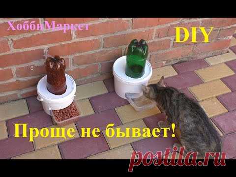 DIY Поилка и кормушка для кошек и собак. Проще простого! ХоббиМаркет