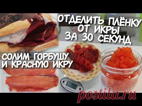 Солим КРАСНУЮ РЫБУ / Как засолить КРАСНУЮ ИКРУ / Выбираем РЫБУ С ИКРОЙ / снять пленку с икры быстро